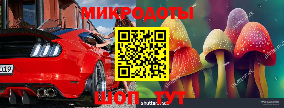 Галлюциногенные грибы Psilocybine cubensis Пенза