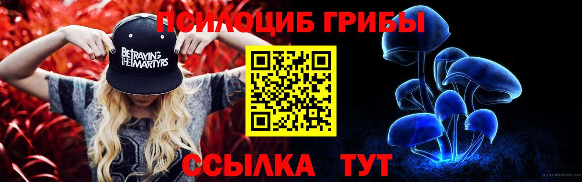 Пенза  цены   Вход с VPN  Галлюциногенные грибы Cubensis 